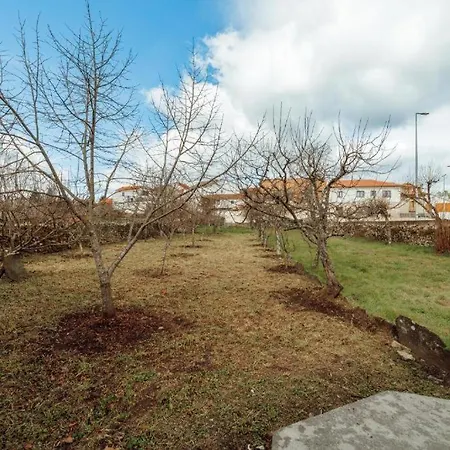 Casa de Férias Malhadinhas House *