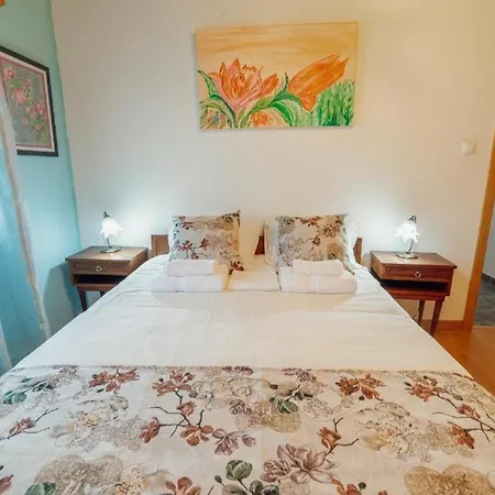 Feriehus Malhadinhas House Vila Nova de Paiva