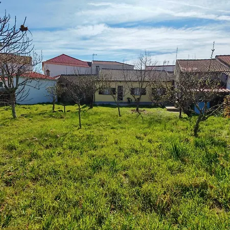 Holiday home Malhadinhas House Vila Nova de Paiva